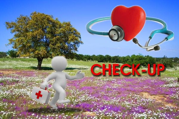 checkup_primavera