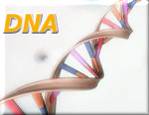 Test sul dna